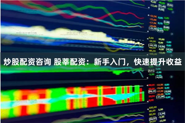 炒股配资咨询 股莘配资：新手入门，快速提升收益