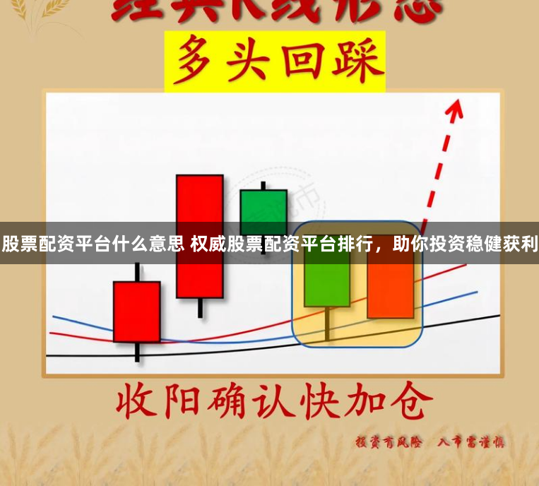 股票配资平台什么意思 权威股票配资平台排行，助你投资稳健获利
