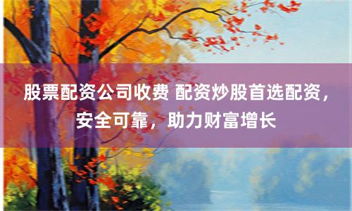 股票配资公司收费 配资炒股首选配资，安全可靠，助力财富增长